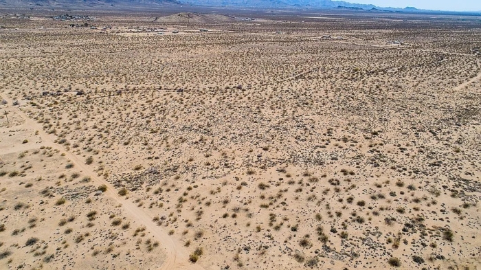 Build, or Invest in Your Desert Dream 20.36 Acres, Mohave, Arizona 306-24-005