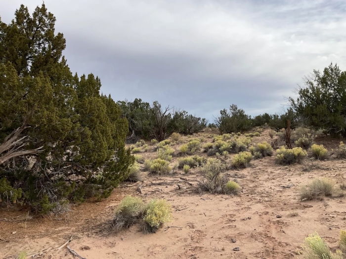 Expansive Off-Grid Freedom - Image 3