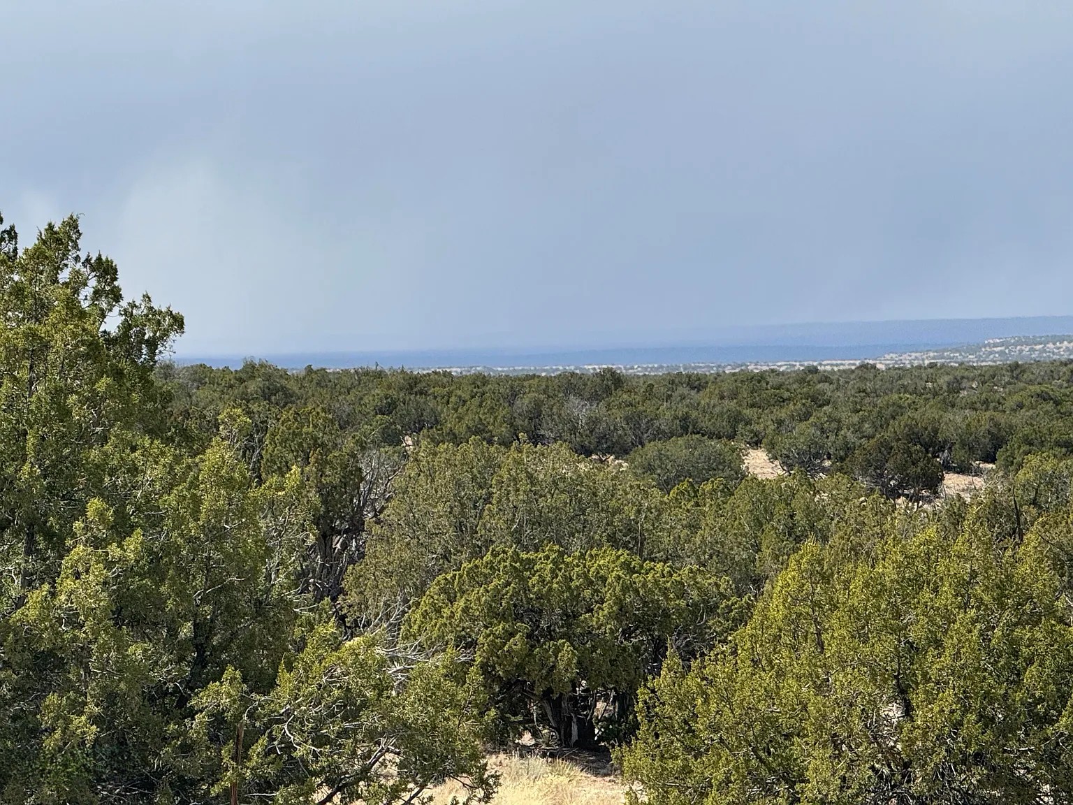 Untouched Desert Beauty 36.69 Acres, Apache, Arizona 204-59-213 - Image 4