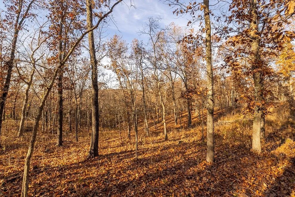 Stocked Fishing Ponds 3.53 Acres, Benton, Missouri 15-7.1-26-000-003-045.000 - Image 4