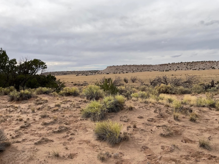 Expansive Off-Grid Freedom - Image 4