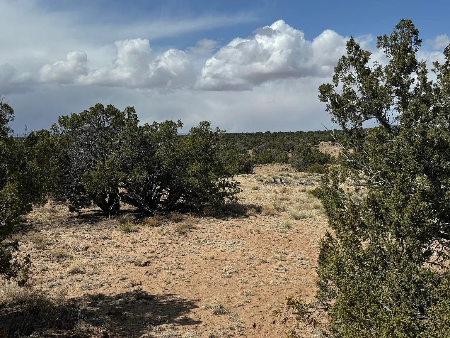 Untouched Desert Beauty 36.69 Acres, Apache, Arizona 204-59-213 - Image 5
