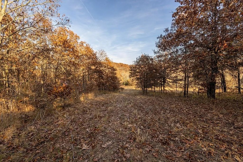 Stocked Fishing Ponds 3.53 Acres, Benton, Missouri 15-7.1-26-000-003-045.000 - Image 5