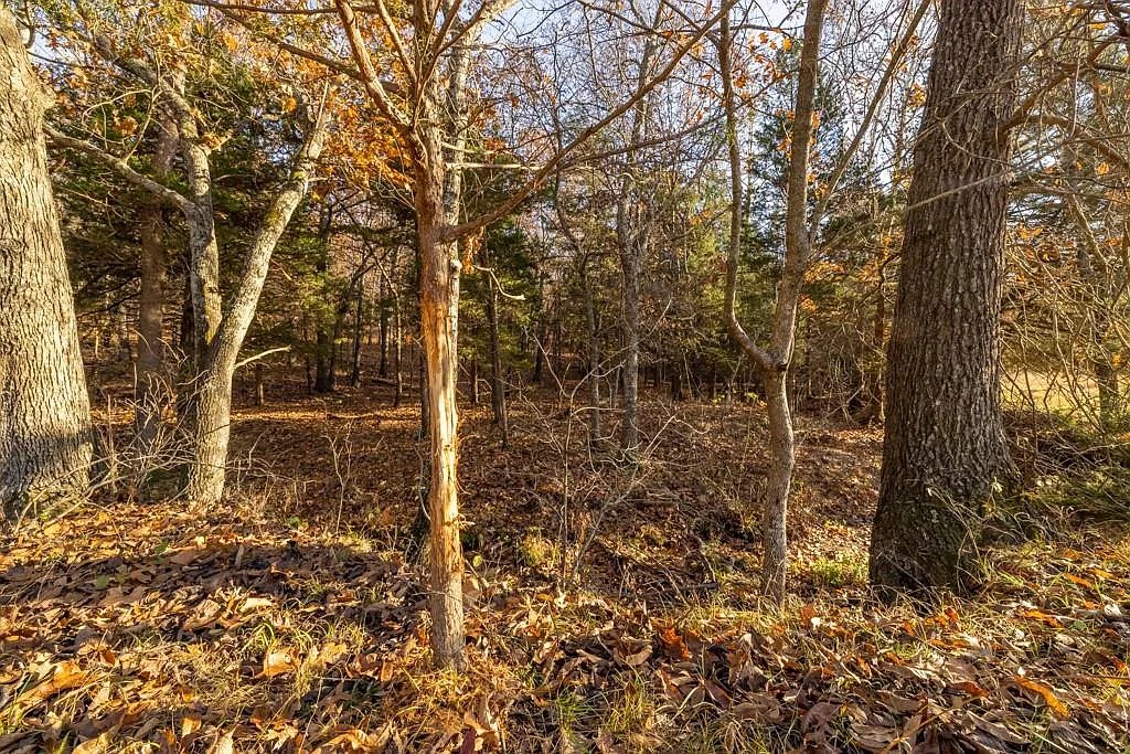 Stocked Fishing Ponds 3.53 Acres, Benton, Missouri 15-7.1-26-000-003-045.000 - Image 6