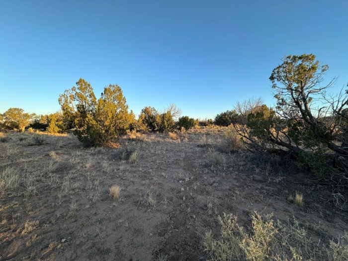 Expansive Off-Grid Freedom - Image 6