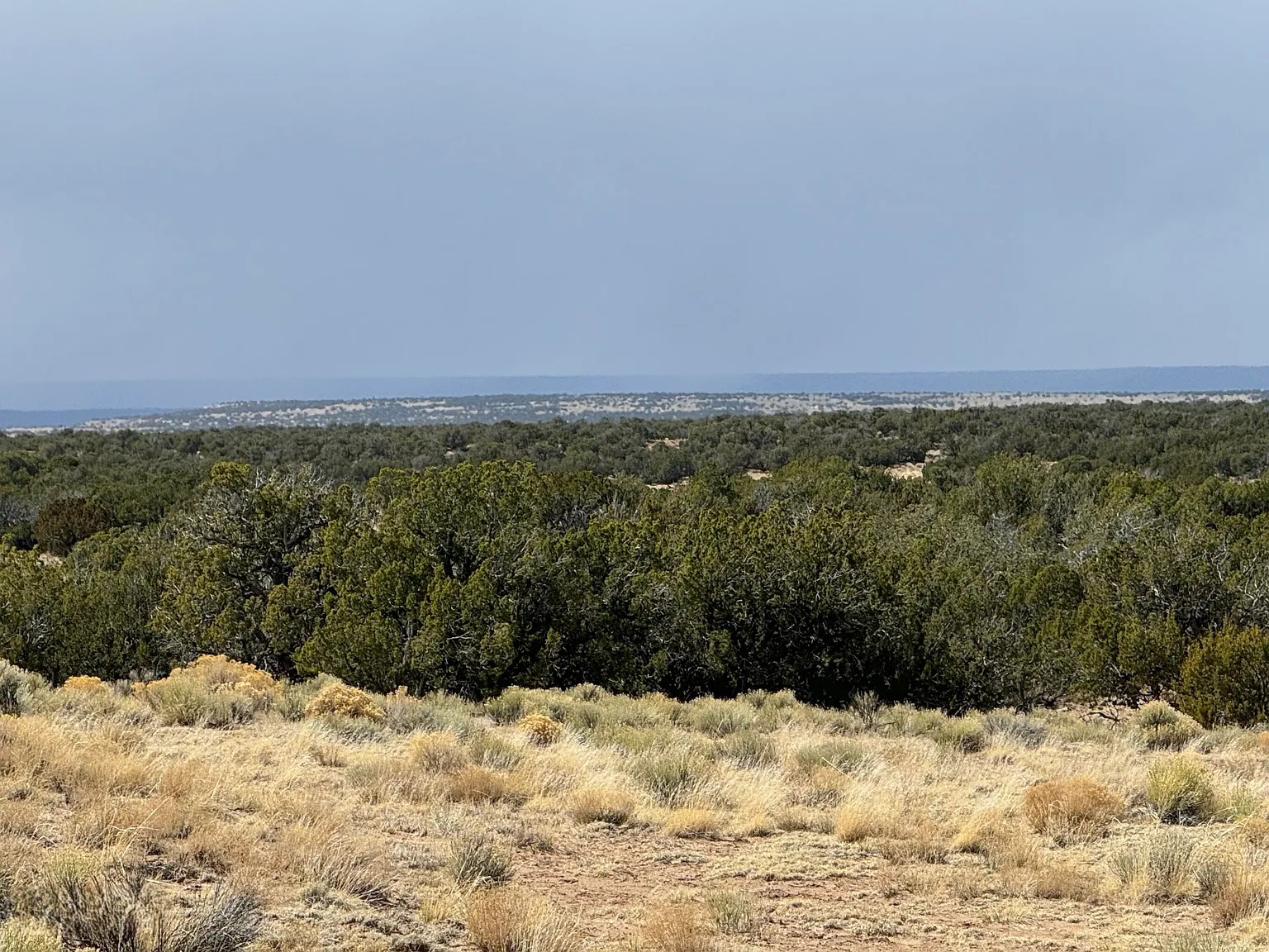 Untouched Desert Beauty 36.69 Acres, Apache, Arizona 204-59-213 - Image 7
