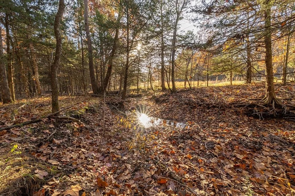 Stocked Fishing Ponds 3.53 Acres, Benton, Missouri 15-7.1-26-000-003-045.000 - Image 8