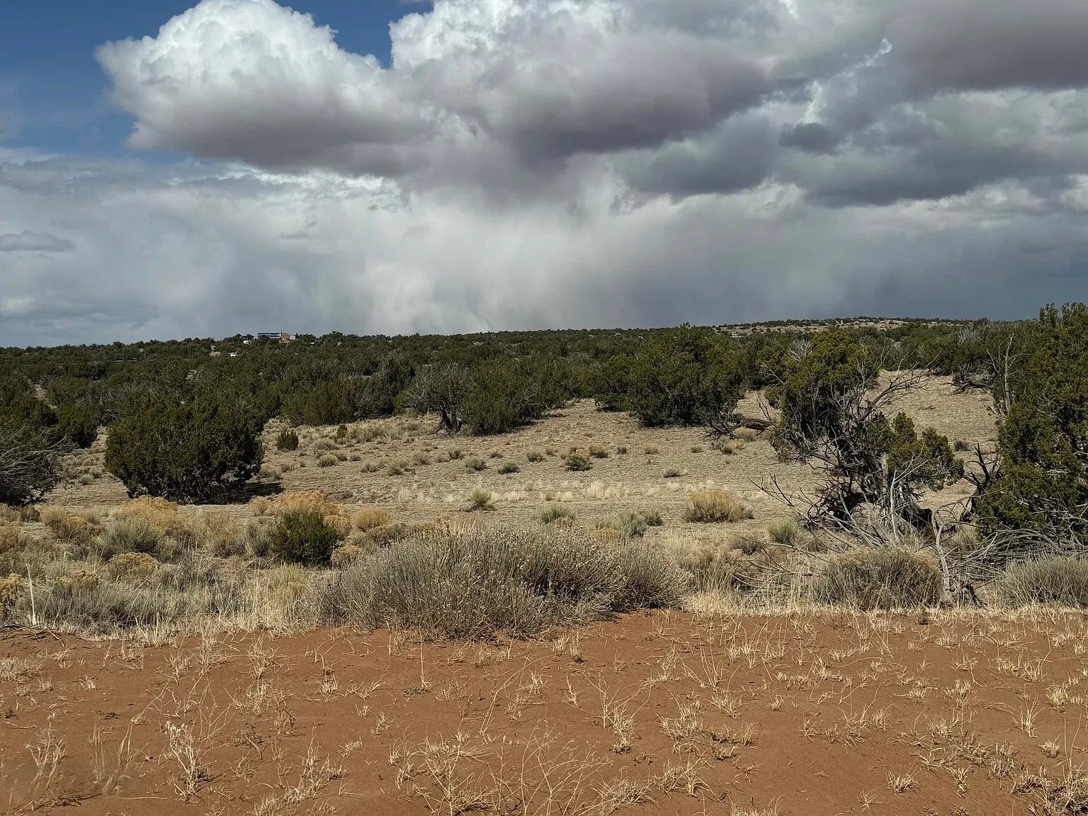Untouched Desert Beauty 36.69 Acres, Apache, Arizona 204-59-213 - Image 8