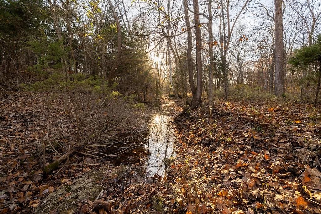 Stocked Fishing Ponds 3.53 Acres, Benton, Missouri 15-7.1-26-000-003-045.000 - Image 7
