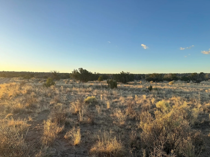 Expansive Off-Grid Freedom - Image 8