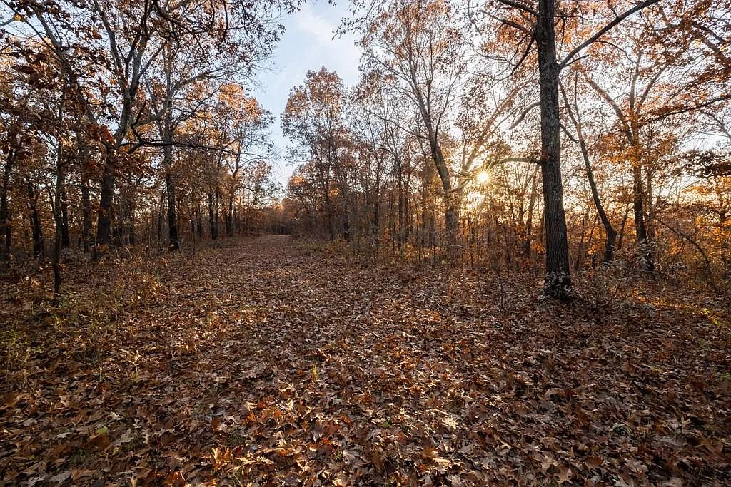 Stocked Fishing Ponds 3.53 Acres, Benton, Missouri 15-7.1-26-000-003-045.000 - Image 9