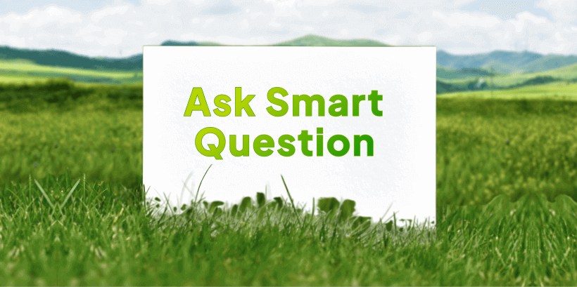Ask Smart Questions