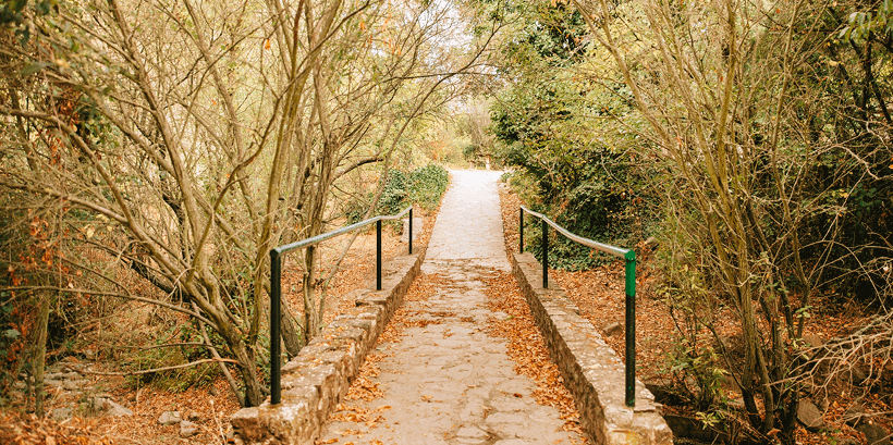Build Nature Trails
