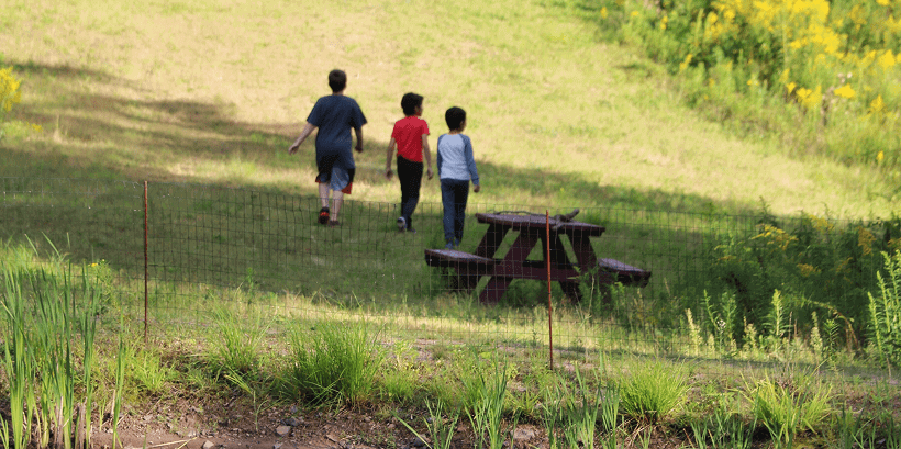 Why Recreational Land Use Matters
