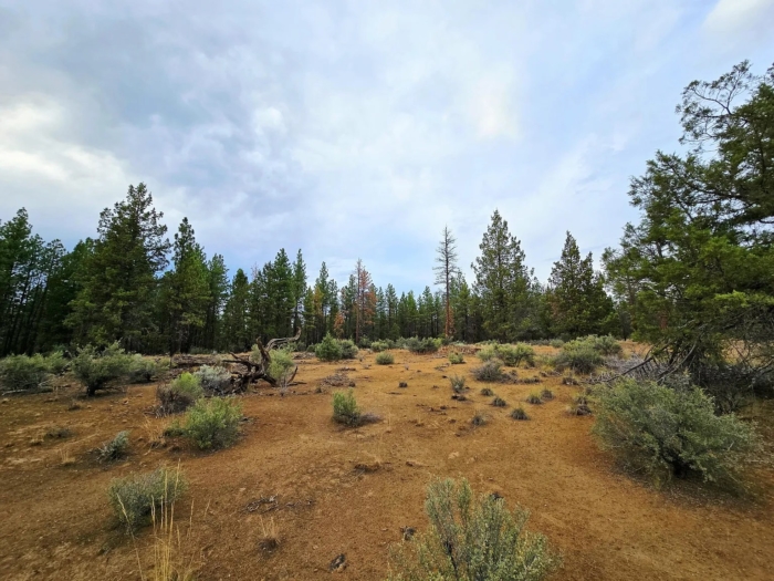 Peaceful Oregon Escape 2.42 Acres, Klamath, Oregon R270370