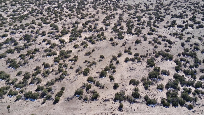 4.6 Acres, Apache County AZ, Peaceful Off-Grid Desert Escape, Parcel 206-10-416 4.6 Acres, Apache, Arizona 206-10-416