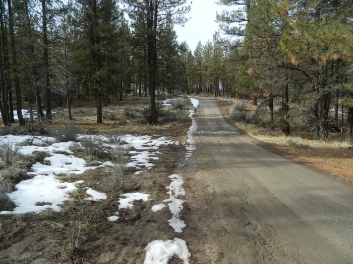 5 Acres, Klamath County, OR, Peaceful Oregon Retreat, Parcel R360852