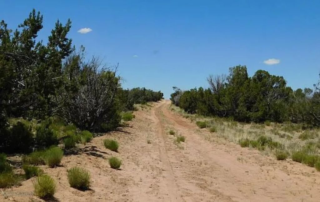 Peaceful High Desert Getaway 19.72 Acres, Apache, Arizona 205-60-006B - Image 2