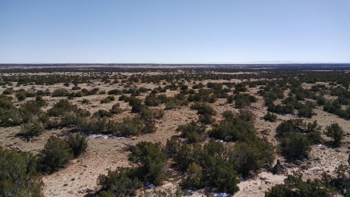 4.6 Acres, Apache County AZ, Peaceful Off-Grid Desert Escape, Parcel 206-10-416 4.6 Acres, Apache, Arizona 206-10-416 - Image 2