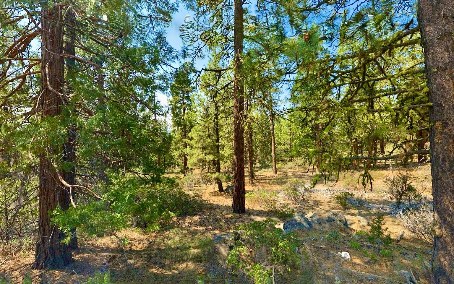 Peaceful Country Living Near Beatty 2.31 Acres, Klamath, Oregon R388128 - Image 2