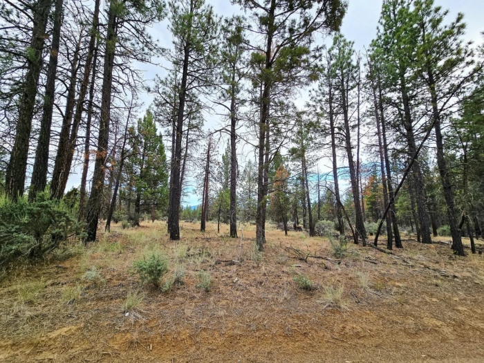 Peaceful Oregon Escape 2.42 Acres, Klamath, Oregon R270370 - Image 3