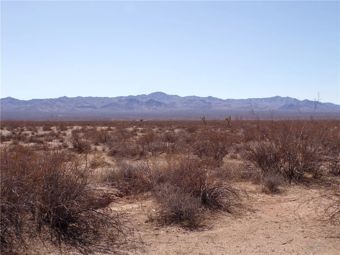 Scenic Desert Escape 39.99 Acres, Mohave, Arizona 123-09-007 - Image 3