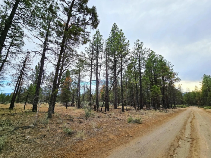 Peaceful Oregon Escape 2.42 Acres, Klamath, Oregon R270370 - Image 4