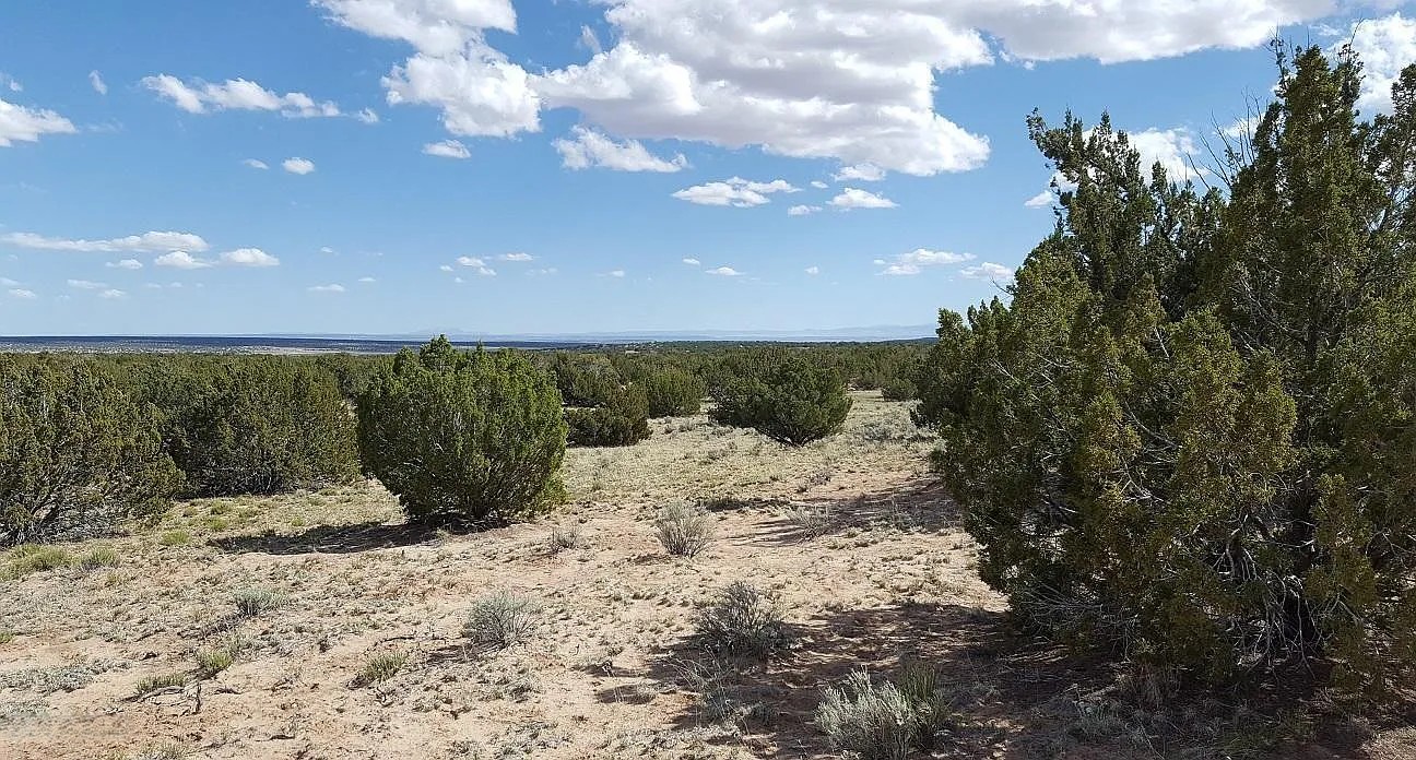 Peaceful High Desert Getaway 19.72 Acres, Apache, Arizona 205-60-006B - Image 3
