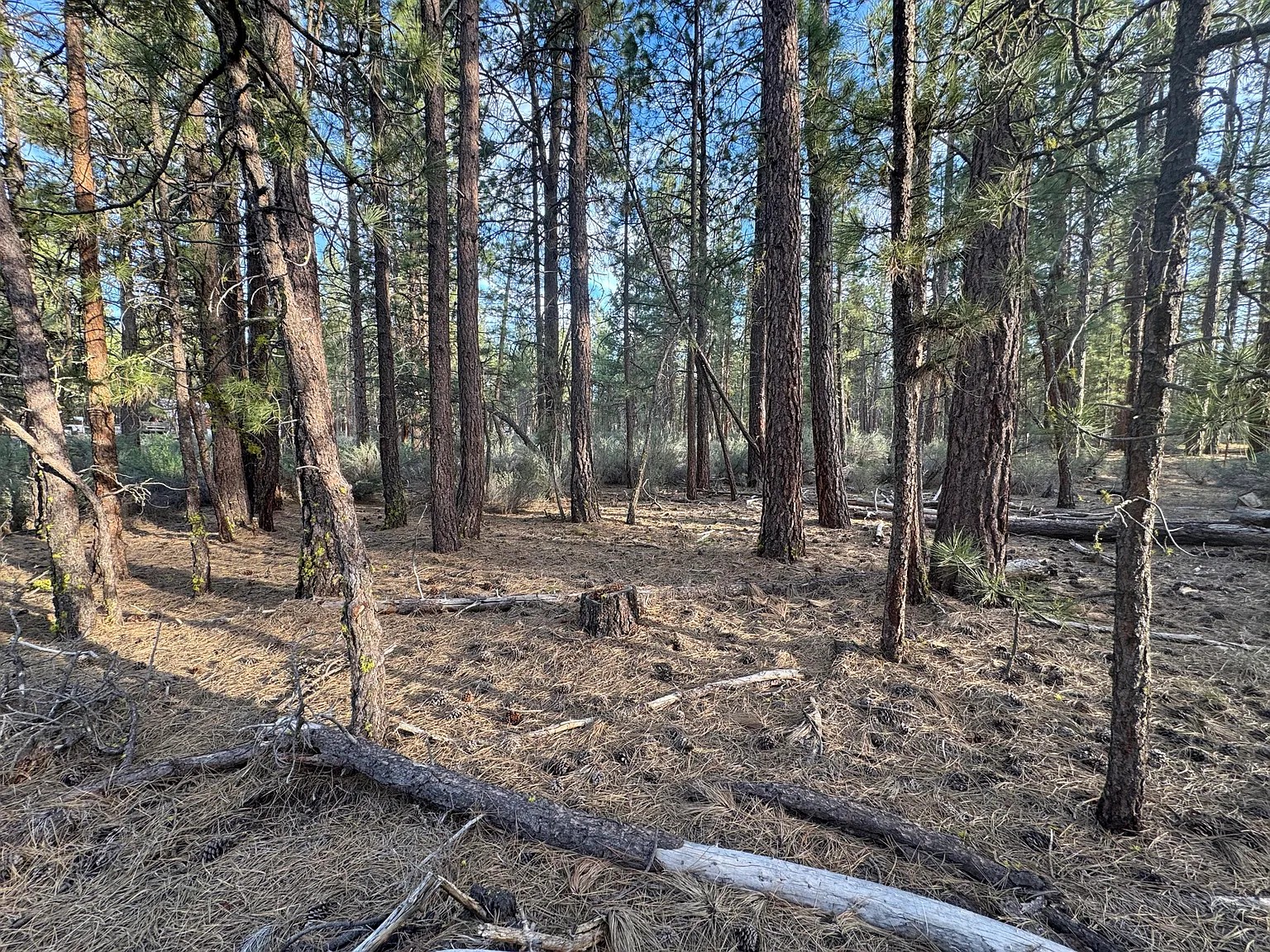 2.41 Acres, Klamath County OR 2.41 Acres, Klamath, Oregon Account 271663 / Map and Taxlot 3510-028A0-00700 - Image 4