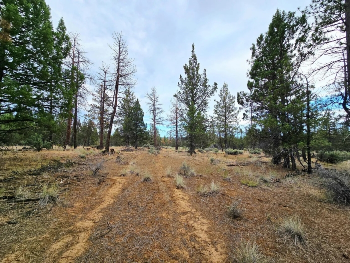 Peaceful Oregon Escape 2.42 Acres, Klamath, Oregon R270370 - Image 5