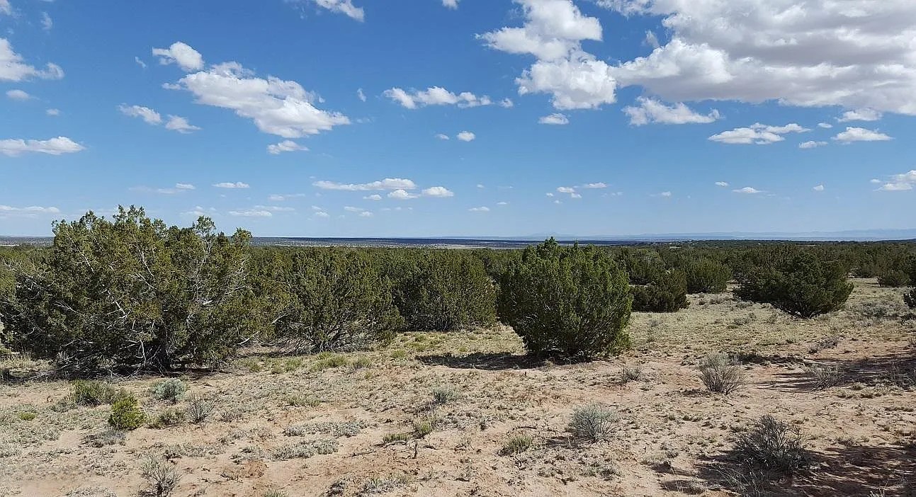 Peaceful High Desert Getaway 19.72 Acres, Apache, Arizona 205-60-006B - Image 4