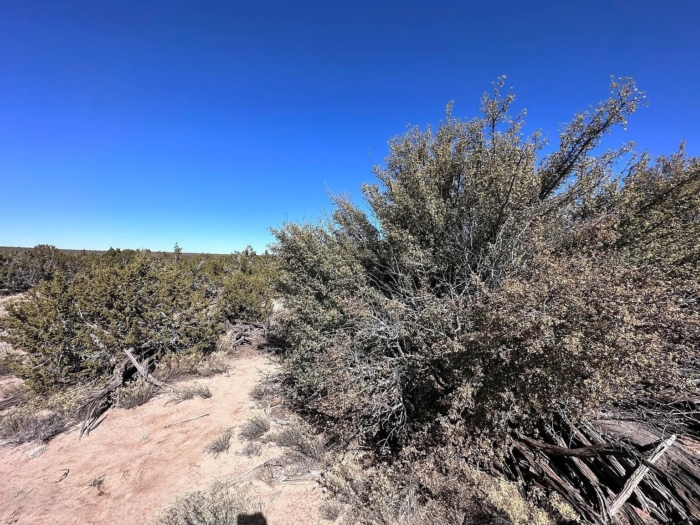 4.6 Acres, Apache County AZ, Peaceful Off-Grid Desert Escape, Parcel 206-10-416 4.6 Acres, Apache, Arizona 206-10-416 - Image 5