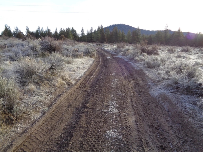 5 Acres, Klamath County, OR, Peaceful Oregon Retreat, Parcel R360852 - Image 6