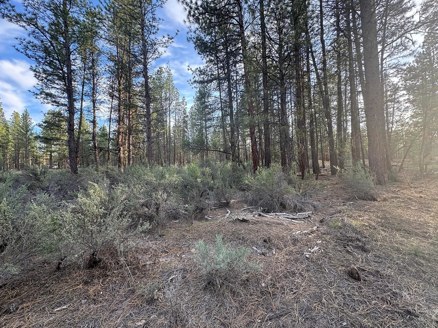 2.41 Acres, Klamath County OR 2.41 Acres, Klamath, Oregon Account 271663 / Map and Taxlot 3510-028A0-00700 - Image 6