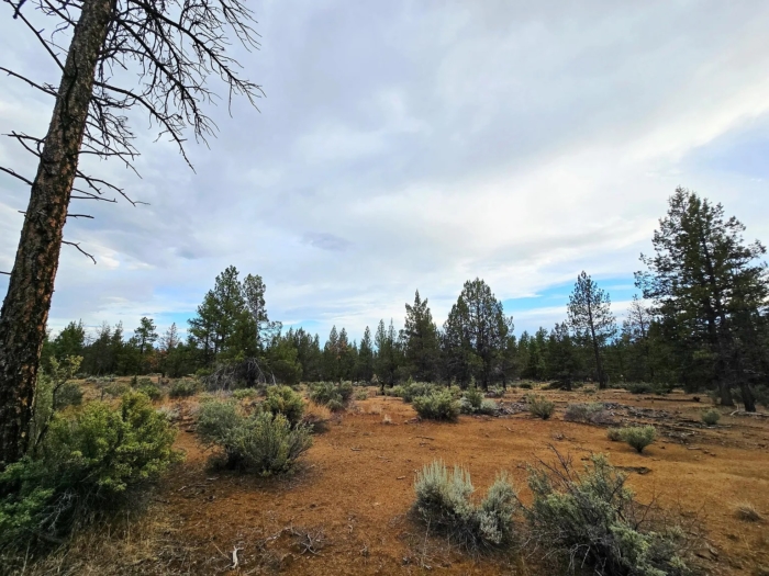 Peaceful Oregon Escape 2.42 Acres, Klamath, Oregon R270370 - Image 7