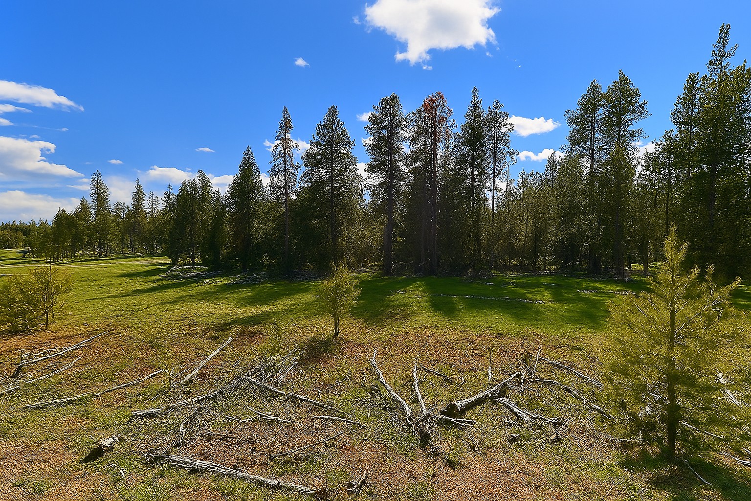 Wide Open Space, Endless Potential 9.53 Acres, Klamath, Oregon R175928 - Image 8