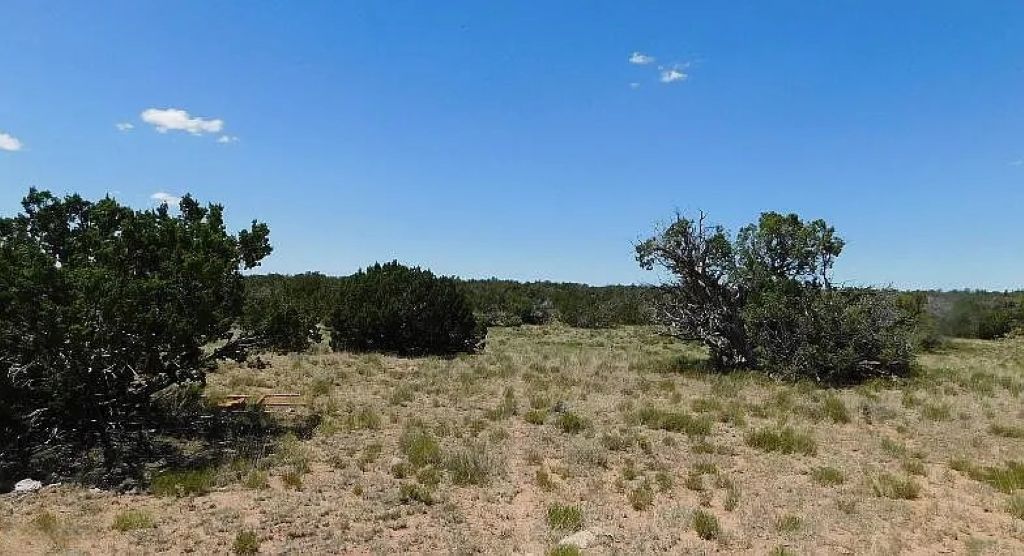 Peaceful High Desert Getaway 19.72 Acres, Apache, Arizona 205-60-006B - Image 9