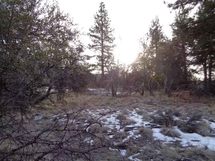 5 Acres, Klamath County, OR, Peaceful Oregon Retreat, Parcel R360852 - Image 8