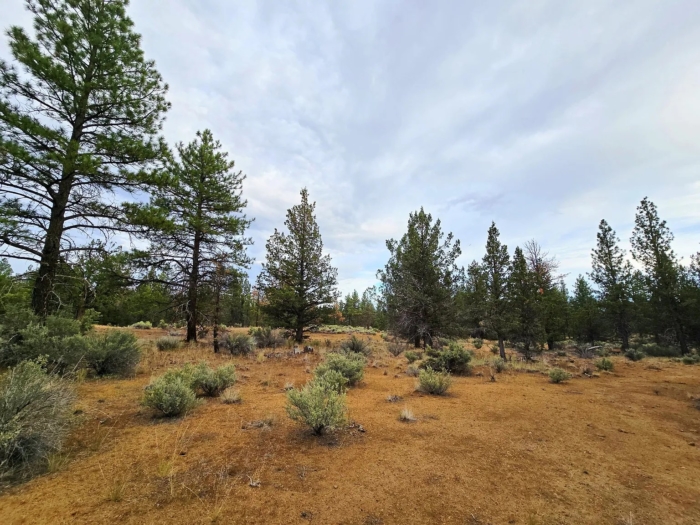 Peaceful Oregon Escape 2.42 Acres, Klamath, Oregon R270370 - Image 9