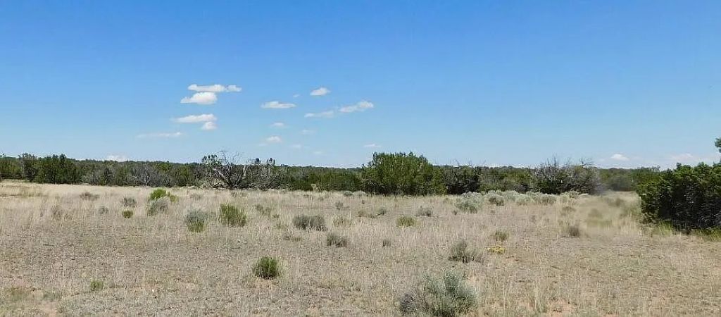 Peaceful High Desert Getaway 19.72 Acres, Apache, Arizona 205-60-006B - Image 8