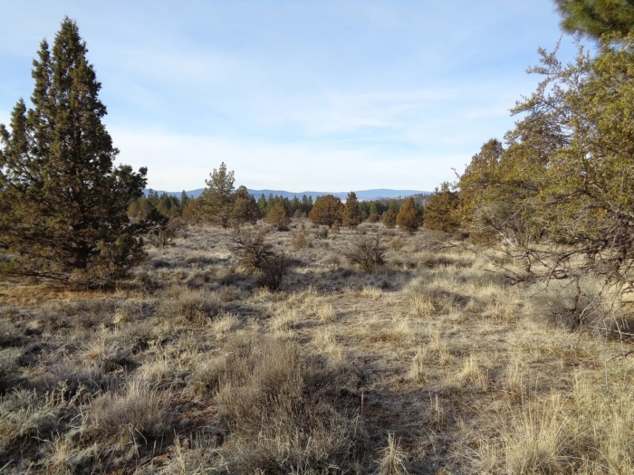 5 Acres, Klamath County, OR, Peaceful Oregon Retreat, Parcel R360852 - Image 9