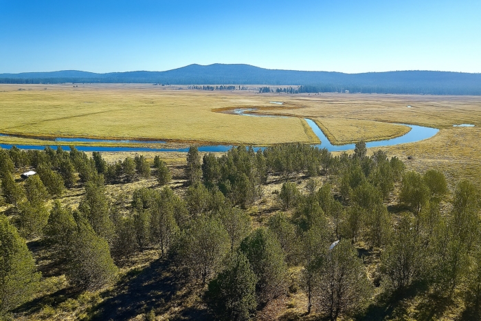 2.03 Acres of Peaceful Oregon Land – Easy Access, Power Nearby & Ready for Your Vision! Parcel R347075 - Image 2