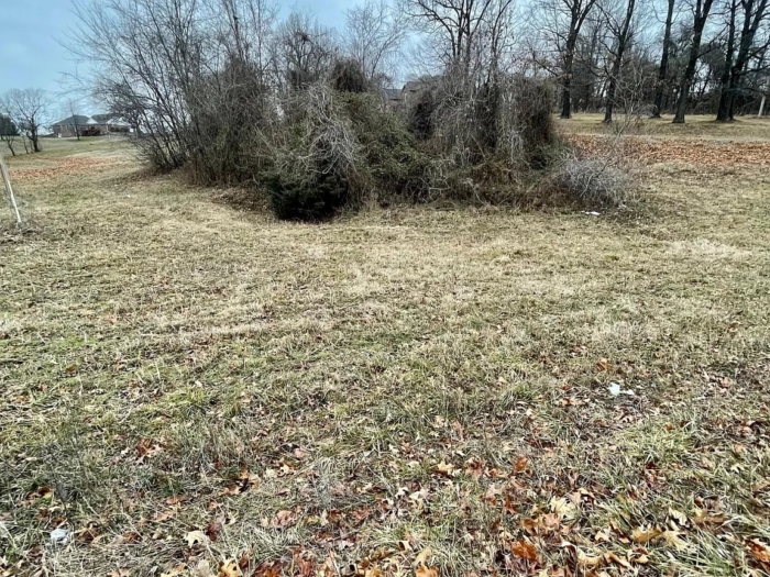 Discover Your Missouri Retreat, 3.23 Acres in Newton, MO, Parcel 16-7.0-26-000-000-001.001 - Image 2
