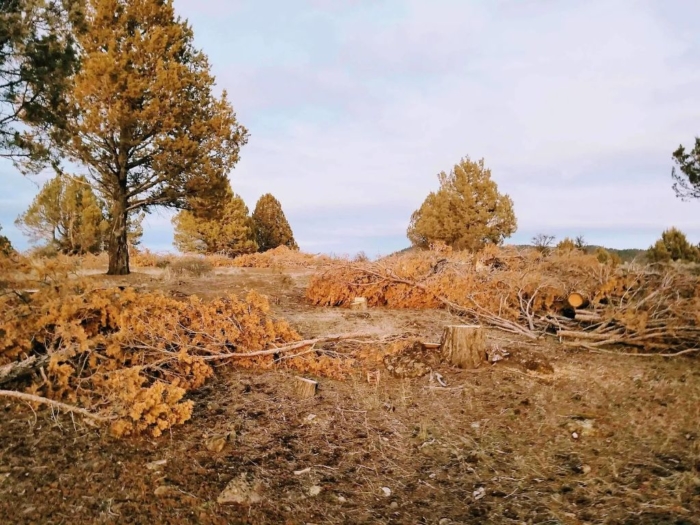 Build Your Dream Off-Grid Haven 10 Acres, Klamath, Oregon R352353 - Image 2