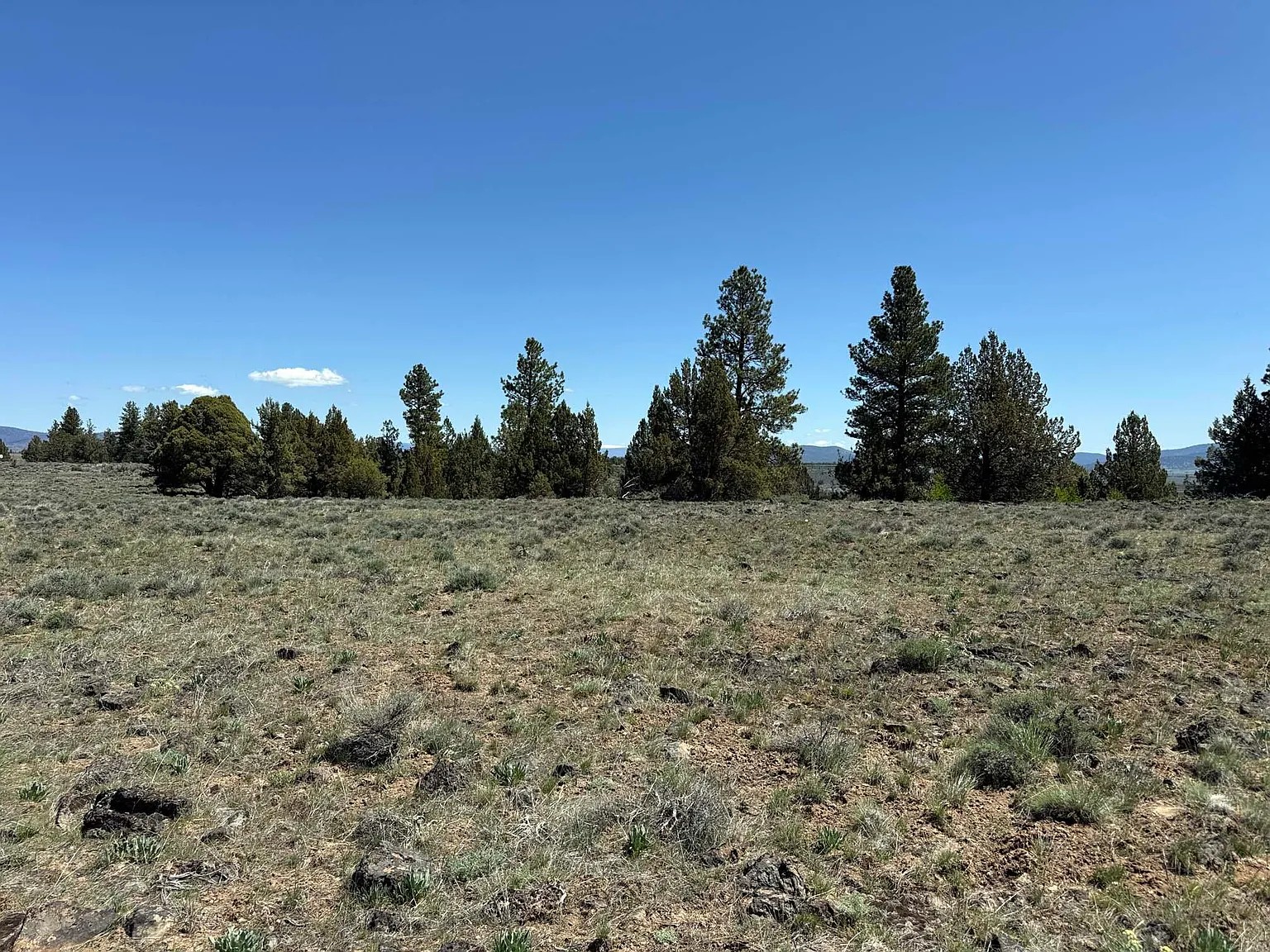 Sunrise Views Over the Sprague River 2.94 Acres, Klamath, Oregon R339057 - Image 2