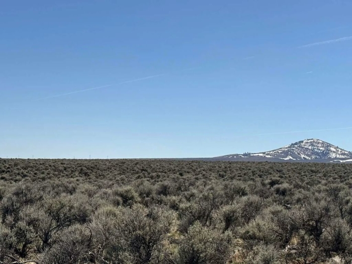 Escape to the Wide-Open Beauty 10 Acres, Lake, Oregon Map and Taxlot: 37S22E00-00-01700 | Account: 10473 - Image 4