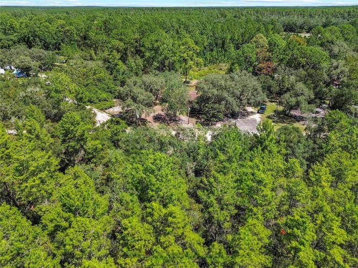 Ideal for Your New Home or Getaway! 0.25 Acres, Marion, Florida 5020-010-007 - Image 3