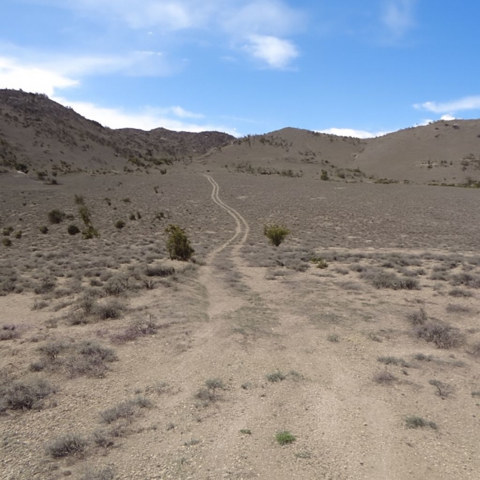 Private High Desert Sanctuary 40 Acres, Elko, Nevada 075-008-013 - Image 3
