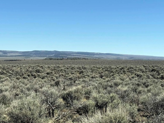 Escape to the Wide-Open Beauty 10 Acres, Lake, Oregon Map and Taxlot: 37S22E00-00-01700 | Account: 10473 - Image 5