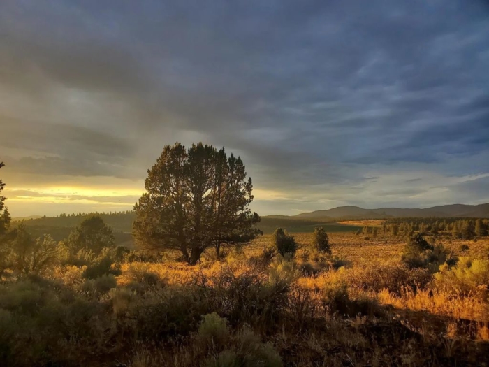 Build Your Dream Off-Grid Haven 10 Acres, Klamath, Oregon R352353 - Image 5